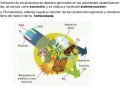 ¿Por qué el sistema excretor es fundamental para los seres vivos?